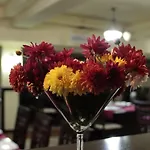 Angellis 4* Timisoara