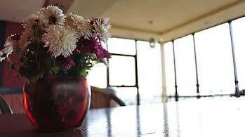 Angellis فندق