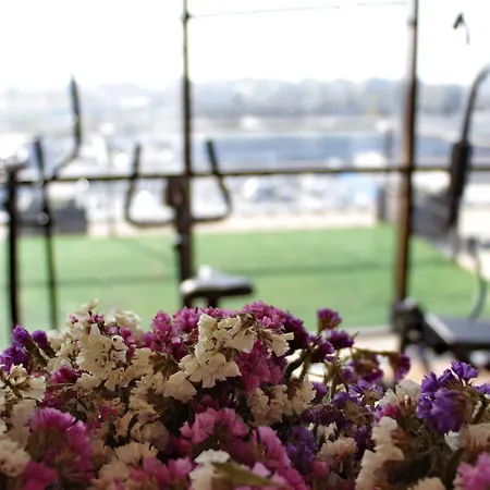 Angellis 4* Timisoara