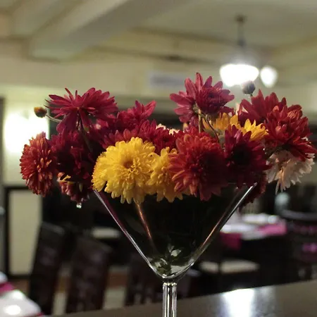 Angellis 4* Timisoara