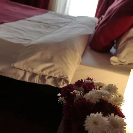 Hotel Angellis Timişoara