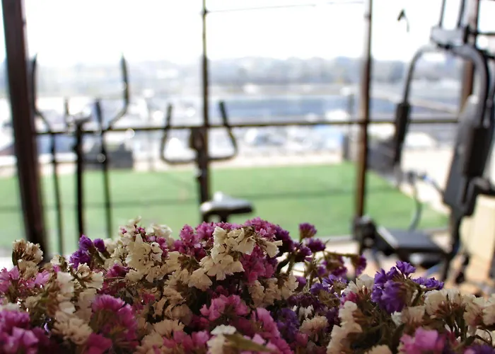 Angellis 4* Temeşvar