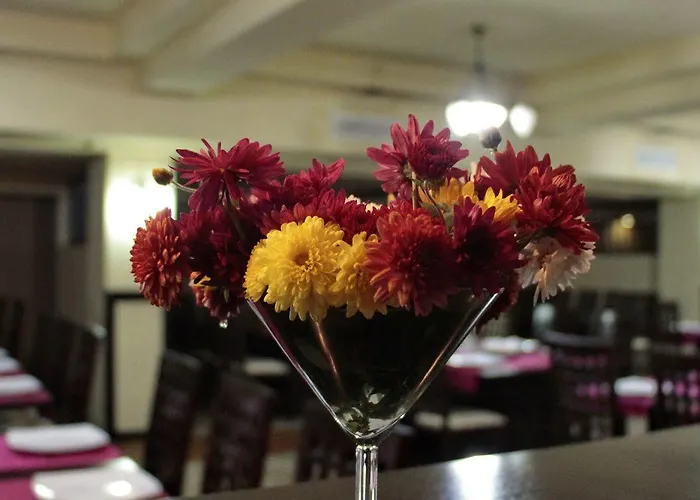 Angellis 4* Temeşvar