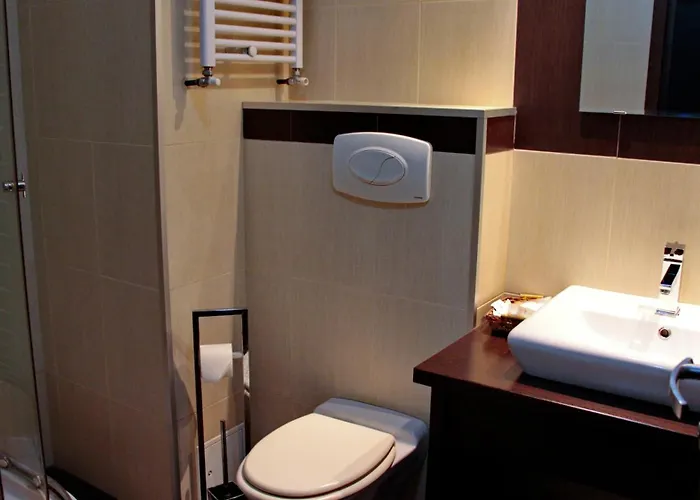 Otel Angellis Temeşvar