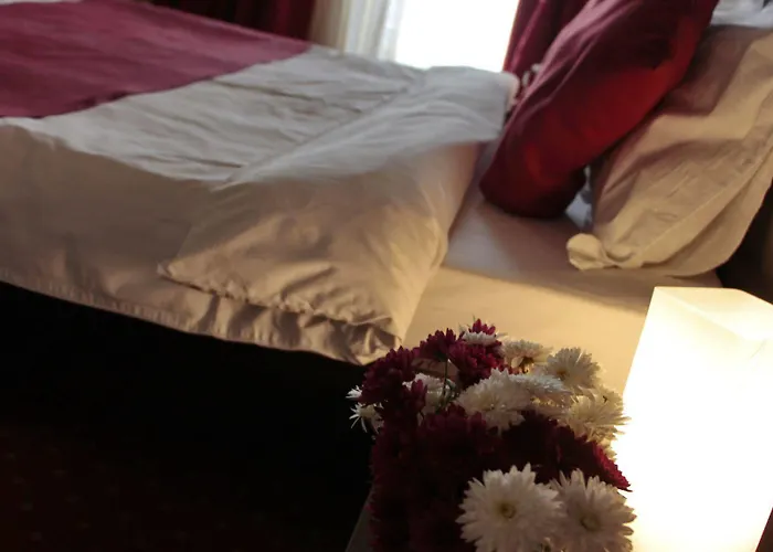 Otel Angellis Temeşvar